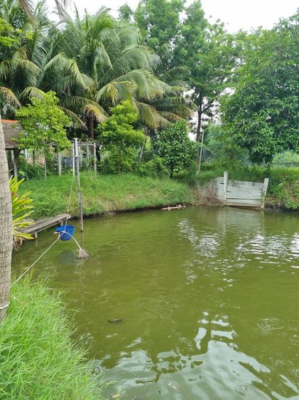 บ้านและที่ดิน รูปที่ 2