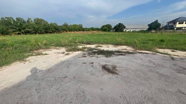 ขายที่ดินพร้อมสิ่งปลูกสร้าง 5 ไร่ 3 งาน 81 ตารางวา ชลบุรี อำเภอบ้านบึง , แยก M16 ทำเลทอง เหมาะแก่การลงทุน รูปที่ 2