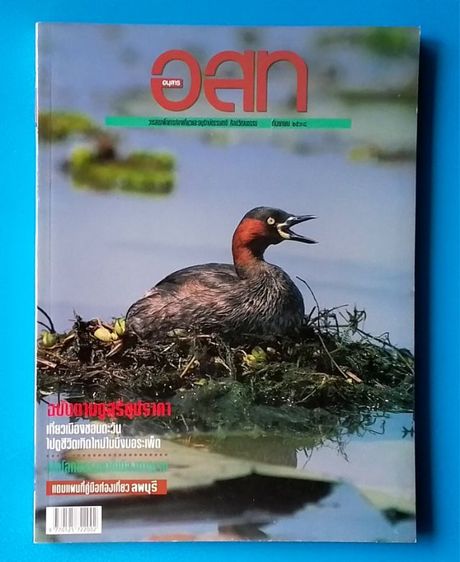 วารสาร อสท ฉบับเก่าย้อนหลัง รูปที่ 6