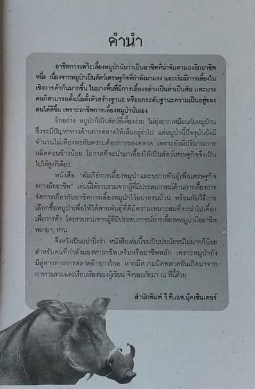 หนังสือหมูป่า รูปที่ 2