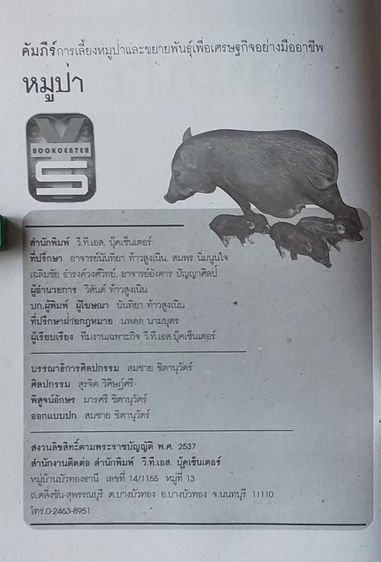 หนังสือหมูป่า รูปที่ 4