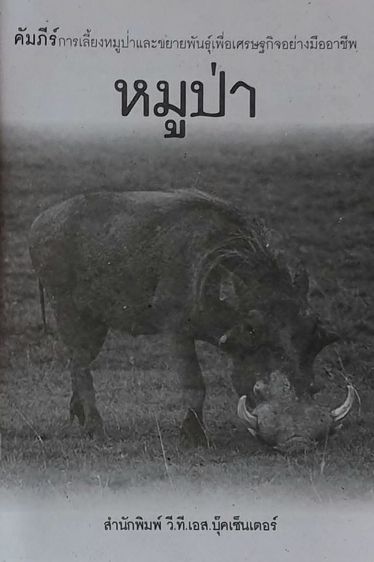 หนังสือหมูป่า รูปที่ 3
