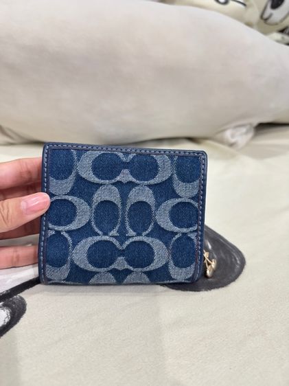 กระเป รูปที่ 4