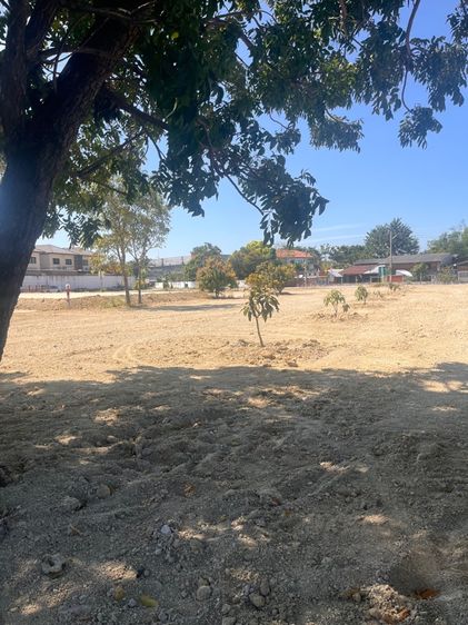 ให้เช่าที่ดินถมแล้ว 2 ไร่ รูปที่ 4