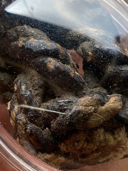 เครื่องรางเชือกเก่าลงรัก1800 รูปที่ 3