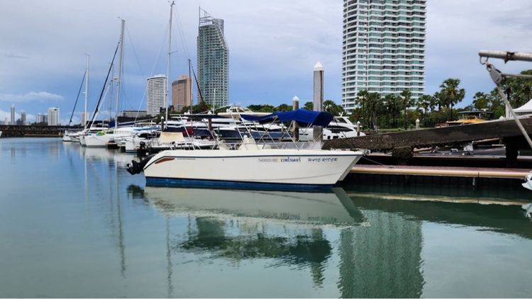 เรือสปีดโบ๊ทไฟเบอร์ catamaran