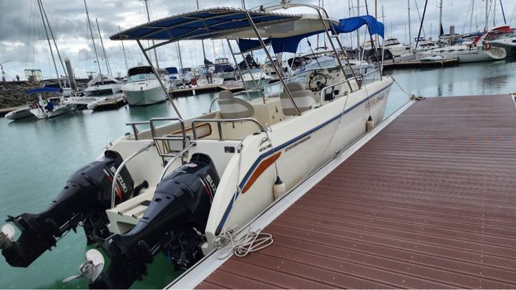 เรือสปีดโบ๊ทไฟเบอร์ catamaran รูปที่ 3