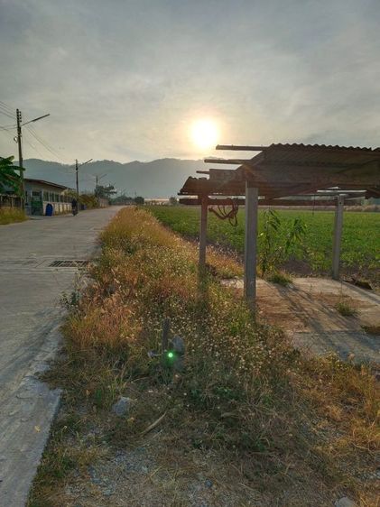 ขายที่ถ.ข้าวหลามชลบุรี