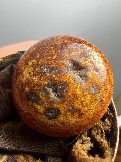 น.น้ำผิึ้งเก่า หายาก รูปที่ 7