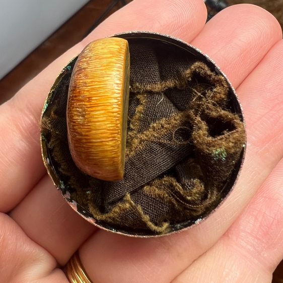 น.น้ำผิึ้งเก่า หายาก รูปที่ 5