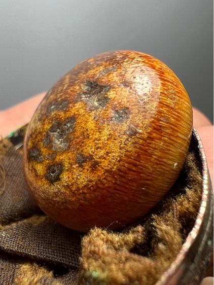 น.น้ำผิึ้งเก่า หายาก รูปที่ 8