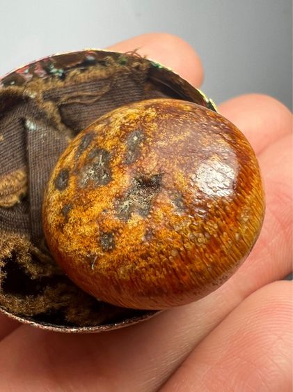 น.น้ำผิึ้งเก่า หายาก รูปที่ 10