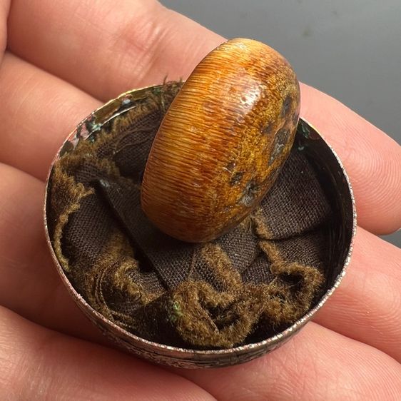 น.น้ำผิึ้งเก่า หายาก รูปที่ 6