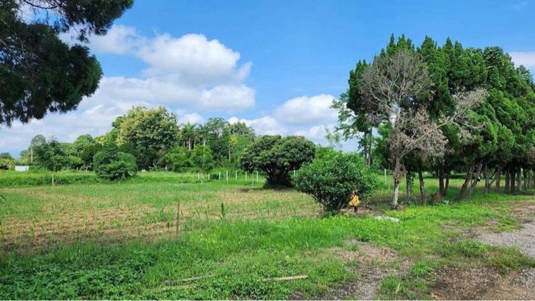 ใช่ ที่ดินสวนเกษตรติดรีสอร์ท จากแยก รวมโชค 20 km รูปที่ 3