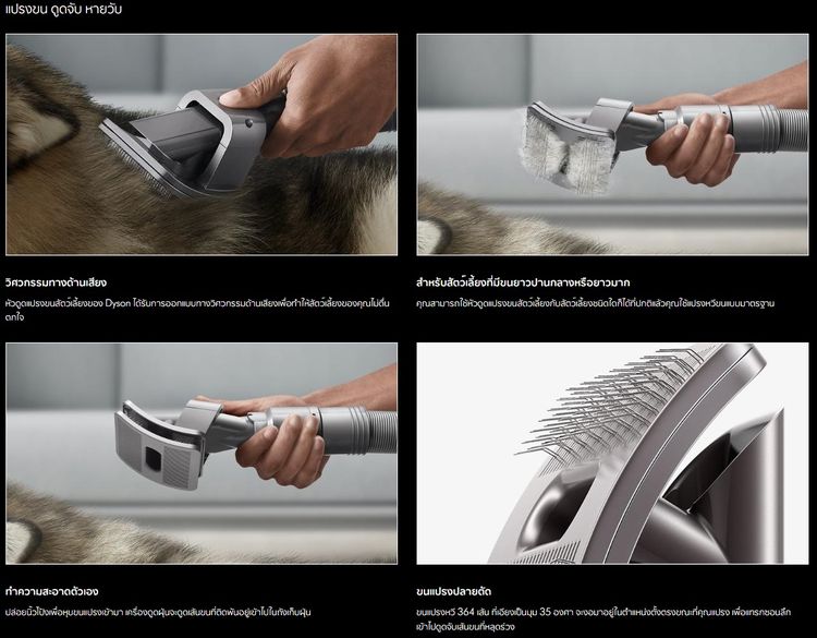 (ปิด)แปรงขนสัตว์เลี้ยง Dyson รูปที่ 10