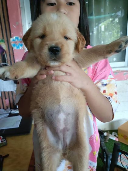 ขายแลกเปลี่ยน รูปที่ 4