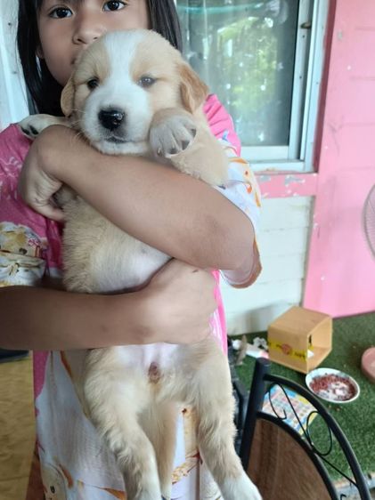 ขายแลกเปลี่ยน รูปที่ 3