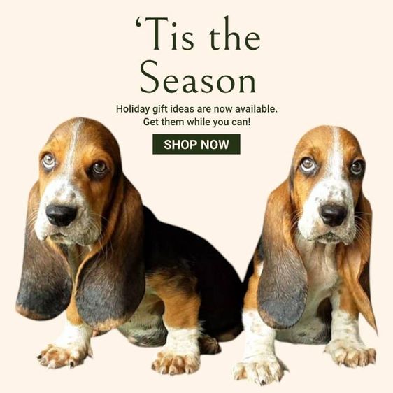 ลูกสุนัขพันธุ์บาสเซ็ตฮาวด์