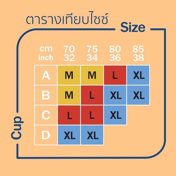 เสื้อชั้นใน wacoal รูปที่ 10