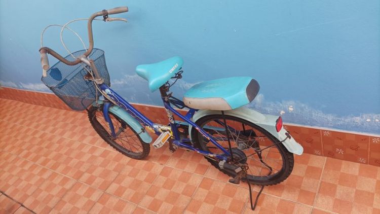 จักรยานแม่บ้าน รูปที่ 2