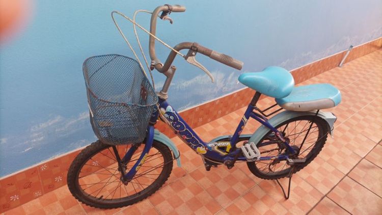 จักรยานแม่บ้าน รูปที่ 3