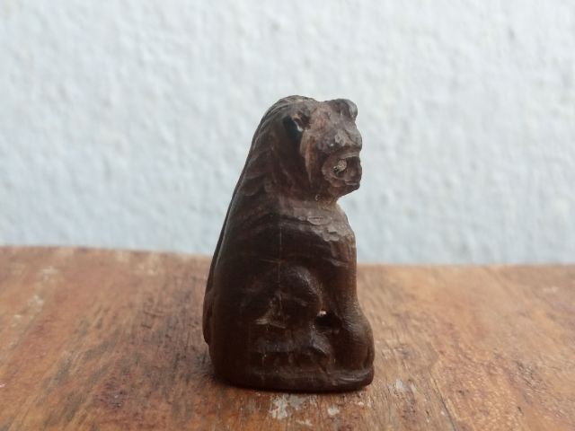 เสือไม้แกะ (ด้านใต้อุดมวลสาร) รูปที่ 4