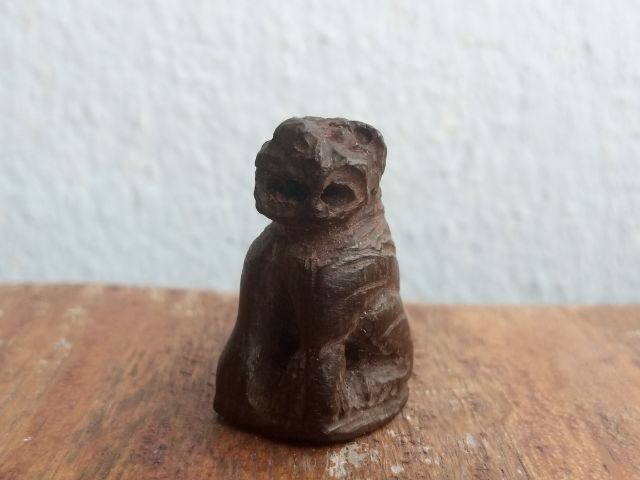 เสือไม้แกะ (ด้านใต้อุดมวลสาร)