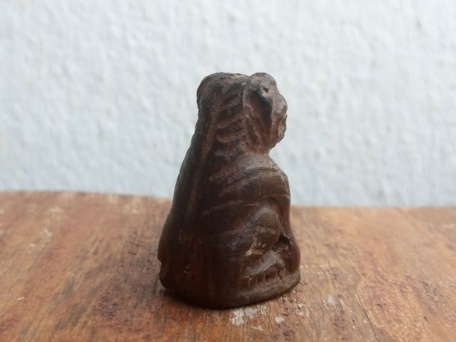 เสือไม้แกะ (ด้านใต้อุดมวลสาร) รูปที่ 5