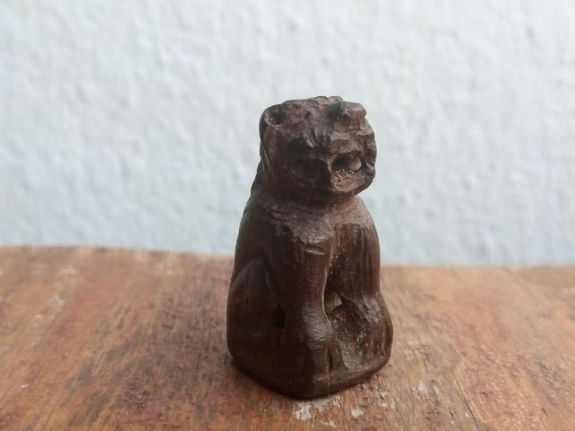 เสือไม้แกะ (ด้านใต้อุดมวลสาร) รูปที่ 3