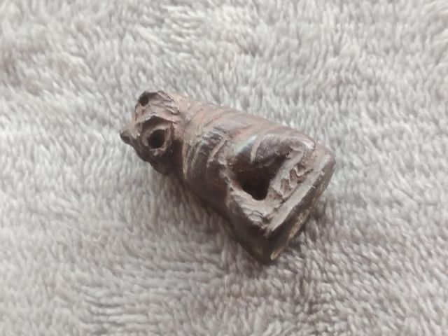 เสือไม้แกะ (ด้านใต้อุดมวลสาร) รูปที่ 16