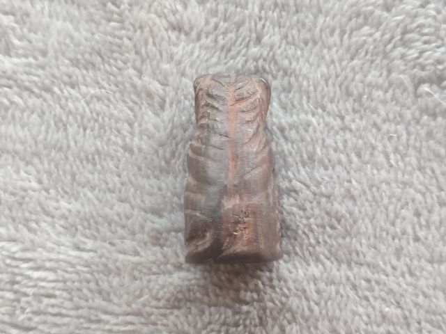 เสือไม้แกะ (ด้านใต้อุดมวลสาร) รูปที่ 12