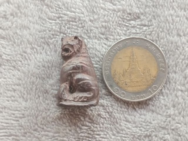 เสือไม้แกะ (ด้านใต้อุดมวลสาร) รูปที่ 17