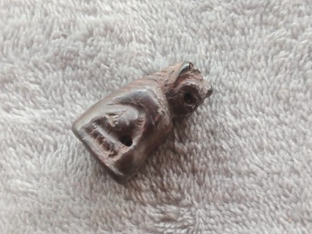 เสือไม้แกะ (ด้านใต้อุดมวลสาร) รูปที่ 14