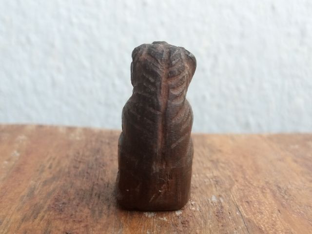 เสือไม้แกะ (ด้านใต้อุดมวลสาร) รูปที่ 6