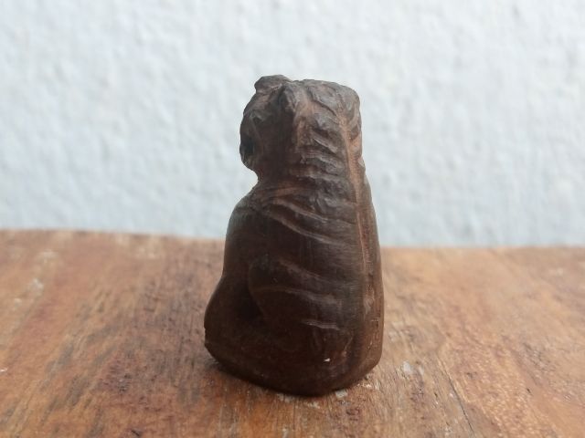 เสือไม้แกะ (ด้านใต้อุดมวลสาร) รูปที่ 7