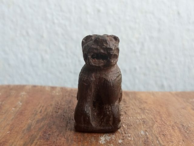 เสือไม้แกะ (ด้านใต้อุดมวลสาร) รูปที่ 2