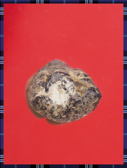 r21-r22.พระโลหะ-หลวงปู่ทวด องค์ๆละ 419 บ. พร้อมส่ง EMS ค่ะ รูปที่ 8