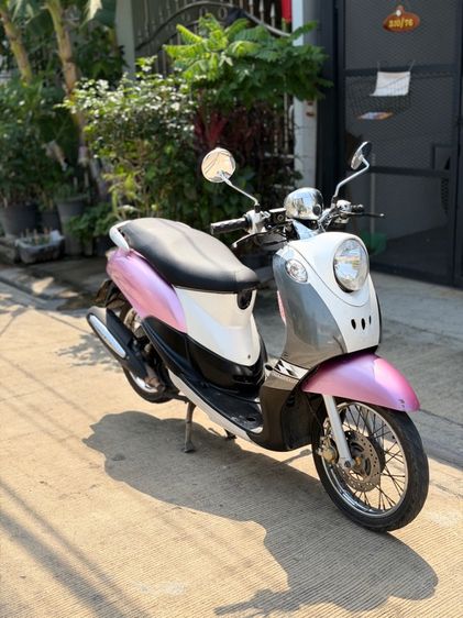 ฟีโน่ตัวแรก เล่มโอนครบ ถูกๆ