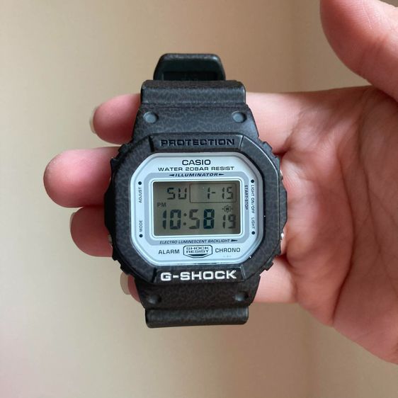 Casio G-Shock DW-5600BR-5JR
