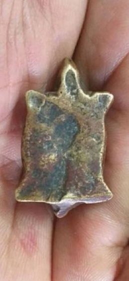 เต่าเรือน เนื้อสัมฤทธิ์ แก่นาค หลวงพ่อเงินวัดบางคลานข รูปที่ 4