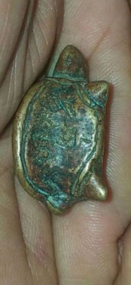 เต่าเรือน เนื้อสัมฤทธิ์ แก่นาค หลวงพ่อเงินวัดบางคลานข รูปที่ 9