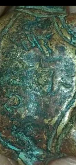 เต่าเรือน เนื้อสัมฤทธิ์ แก่นาค หลวงพ่อเงินวัดบางคลานข รูปที่ 8