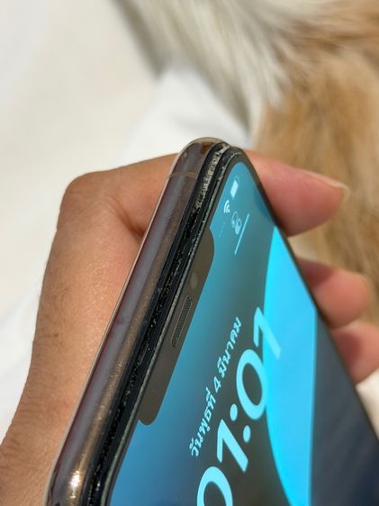 iphone XS Max 256gb ใช้งานได้ปกติมีตำหนิ รูปที่ 15