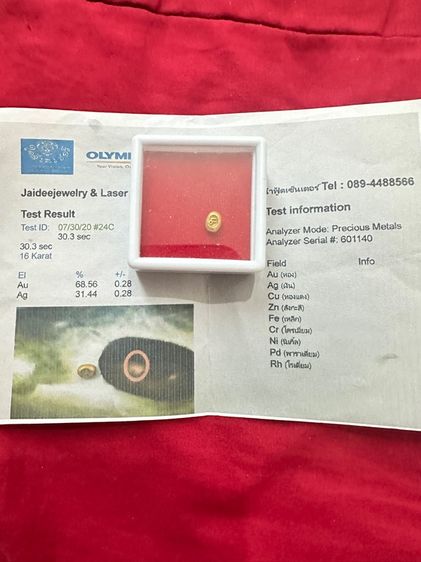 พดด้วงทองคำ รูปที่ 7