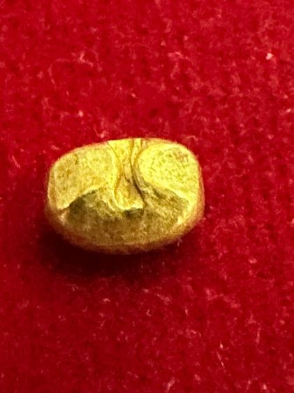 พดด้วงทองคำ รูปที่ 2