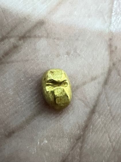 พดด้วงทองคำ รูปที่ 6