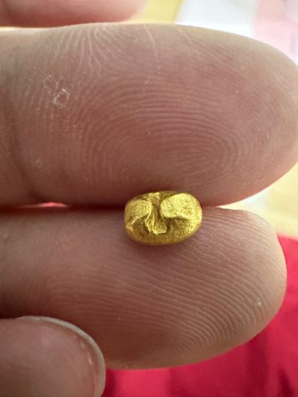 พดด้วงทองคำ รูปที่ 3