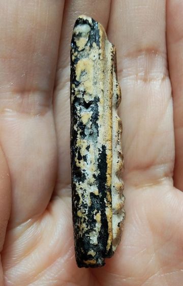 🍄พระสมเด็จ วัดระฆัง พิมพ์เจดีย์ ลงลักเก่า🍄 รูปที่ 3