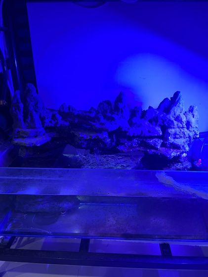 ตู้ปลาน้ำตก รูปที่ 2