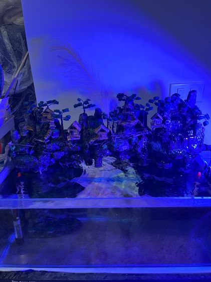 ตู้ปลาน้ำตก รูปที่ 3